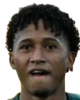 科尔多瓦美洲虎