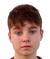 都柏林大学